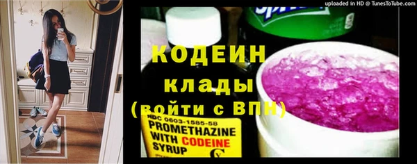герыч Арсеньев