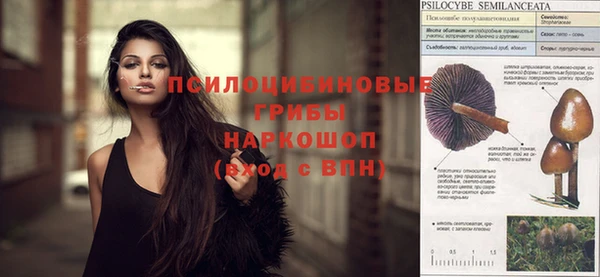 молекула духа Армянск