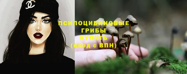 герыч Сатка
