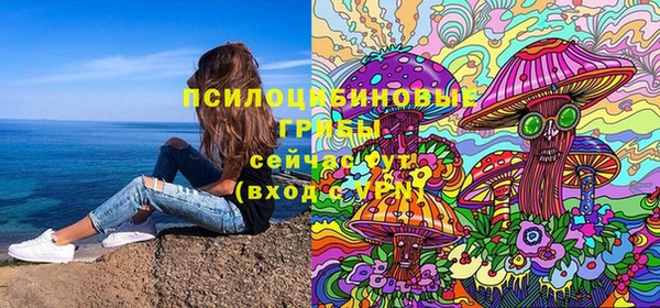 герыч Арсеньев