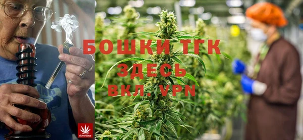 гашик Аркадак