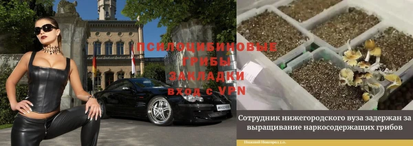 герыч Арсеньев